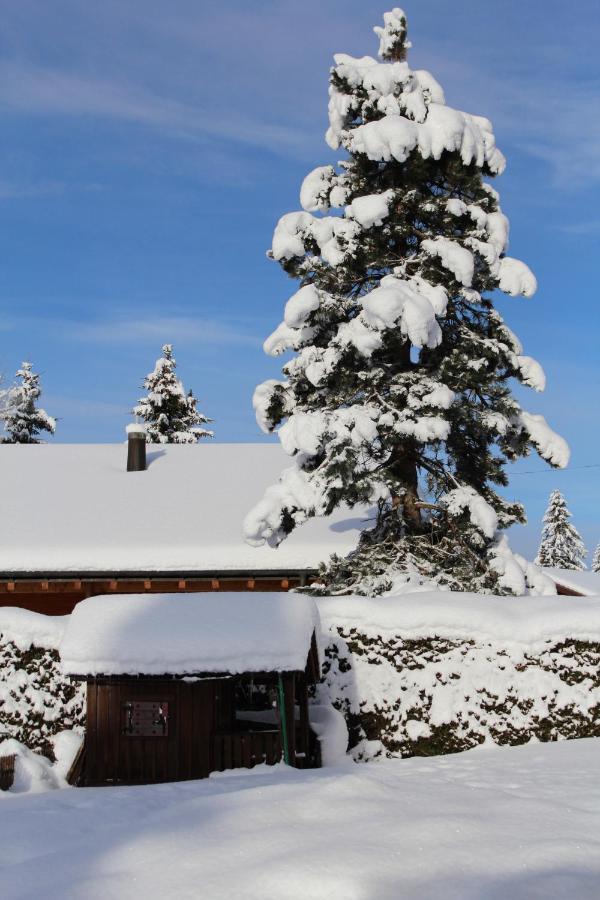 Chalet Le Slalom Arveyes Exterior photo
